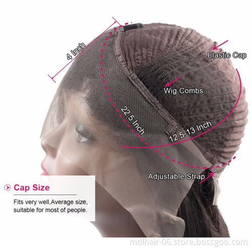 13X4 Lace Frontal Wigs Human Hair Highlight Brazilian Virgin Hair Straight Transparent Lace Wigs Cuticle Aligned Hair